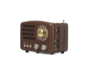 Στερεοφωνικό Φορητό Ηχείο Retro BT04
