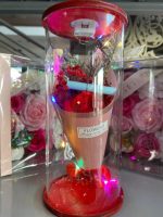 Γυάλα Forever Roses Με Φωτισμό