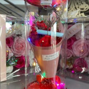 Γυάλα Forever Roses Με Φωτισμό