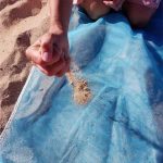 Αδιάβροχο Υπόστρωμα Camping