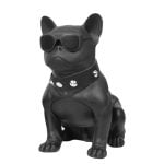 Ηχείο Bluetooth Aerobull