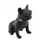 Ηχείο Bluetooth Aerobull